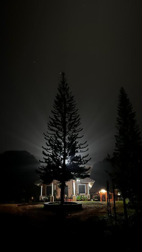 Janiro Tea Trees Villas Vythiri Extérieur photo