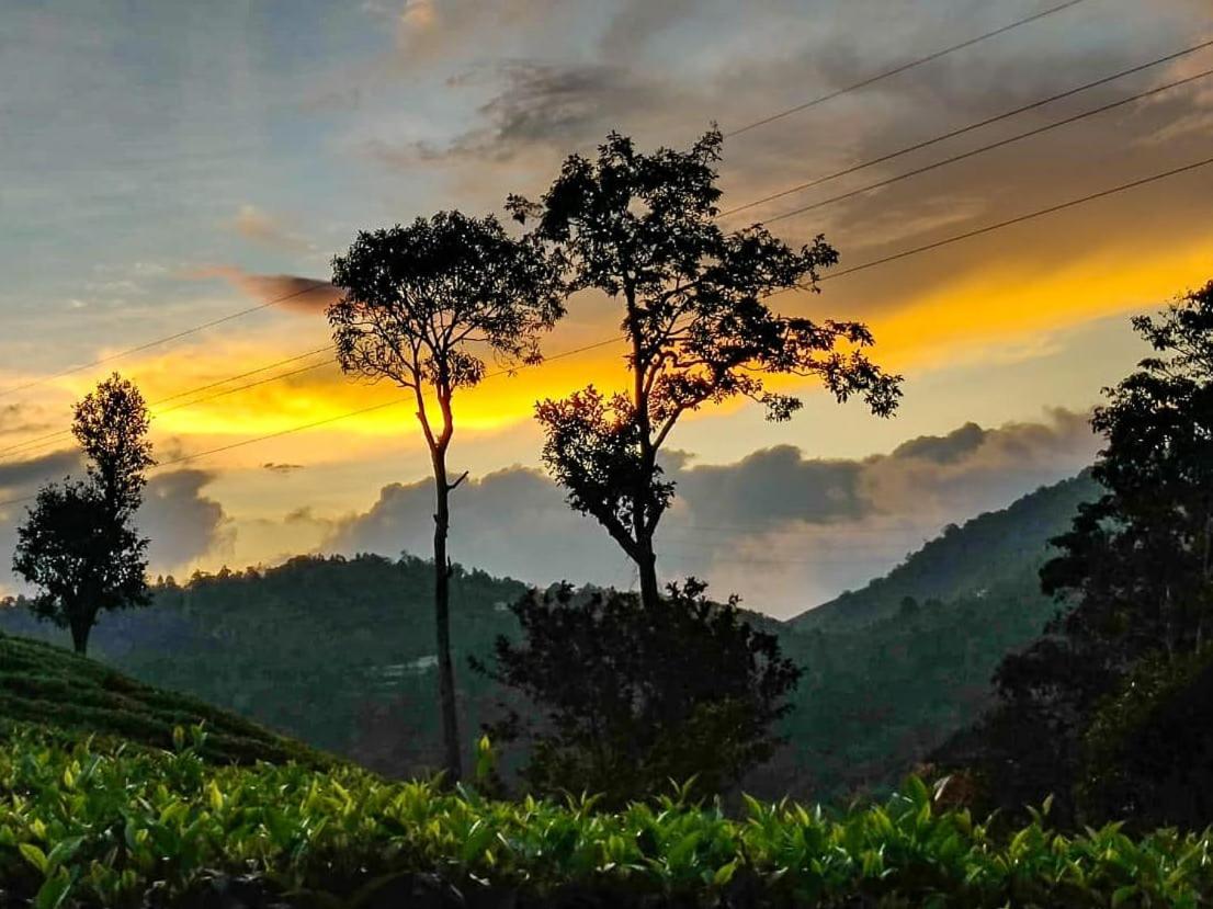 Janiro Tea Trees Villas Vythiri Extérieur photo