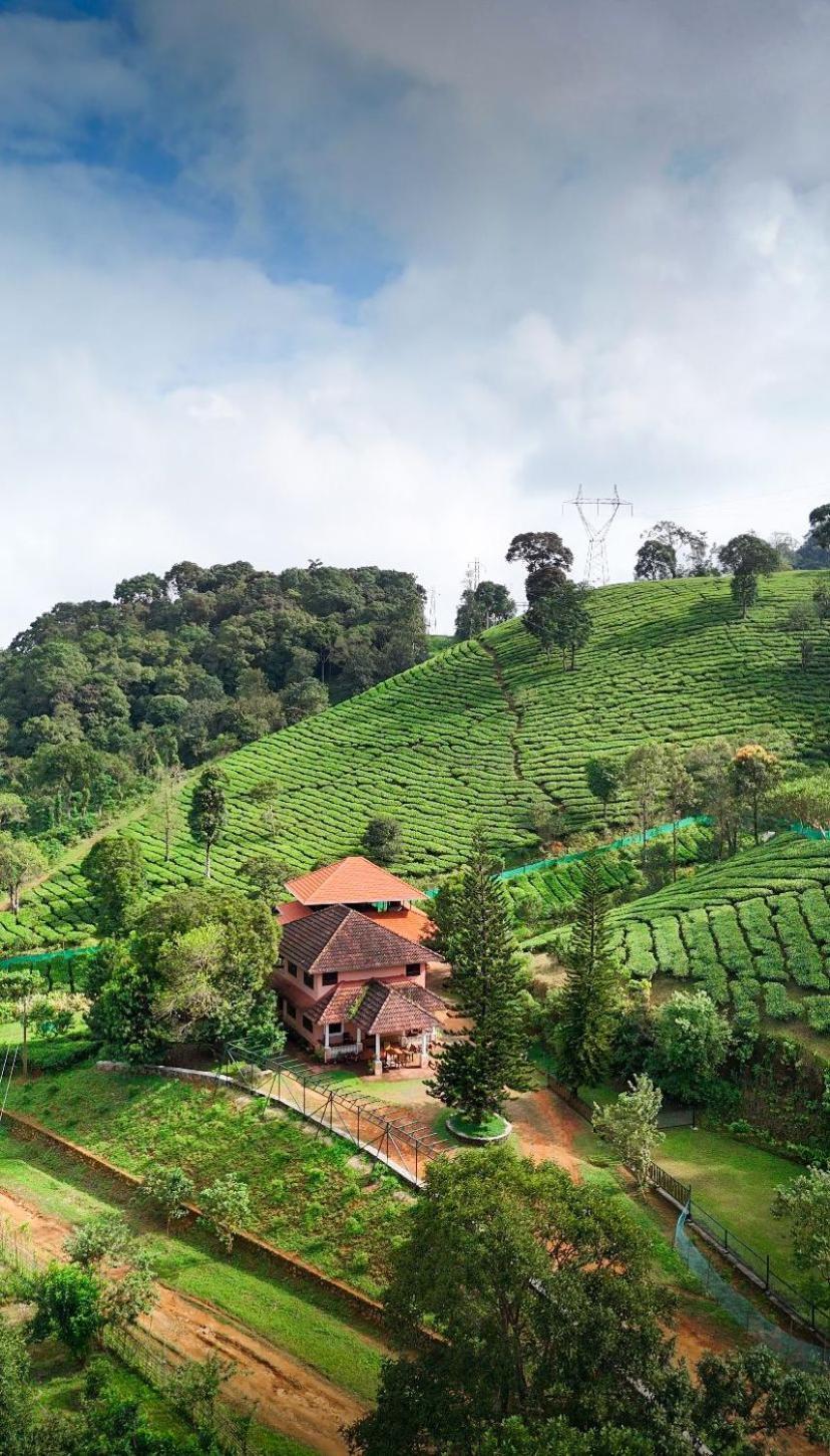 Janiro Tea Trees Villas Vythiri Extérieur photo