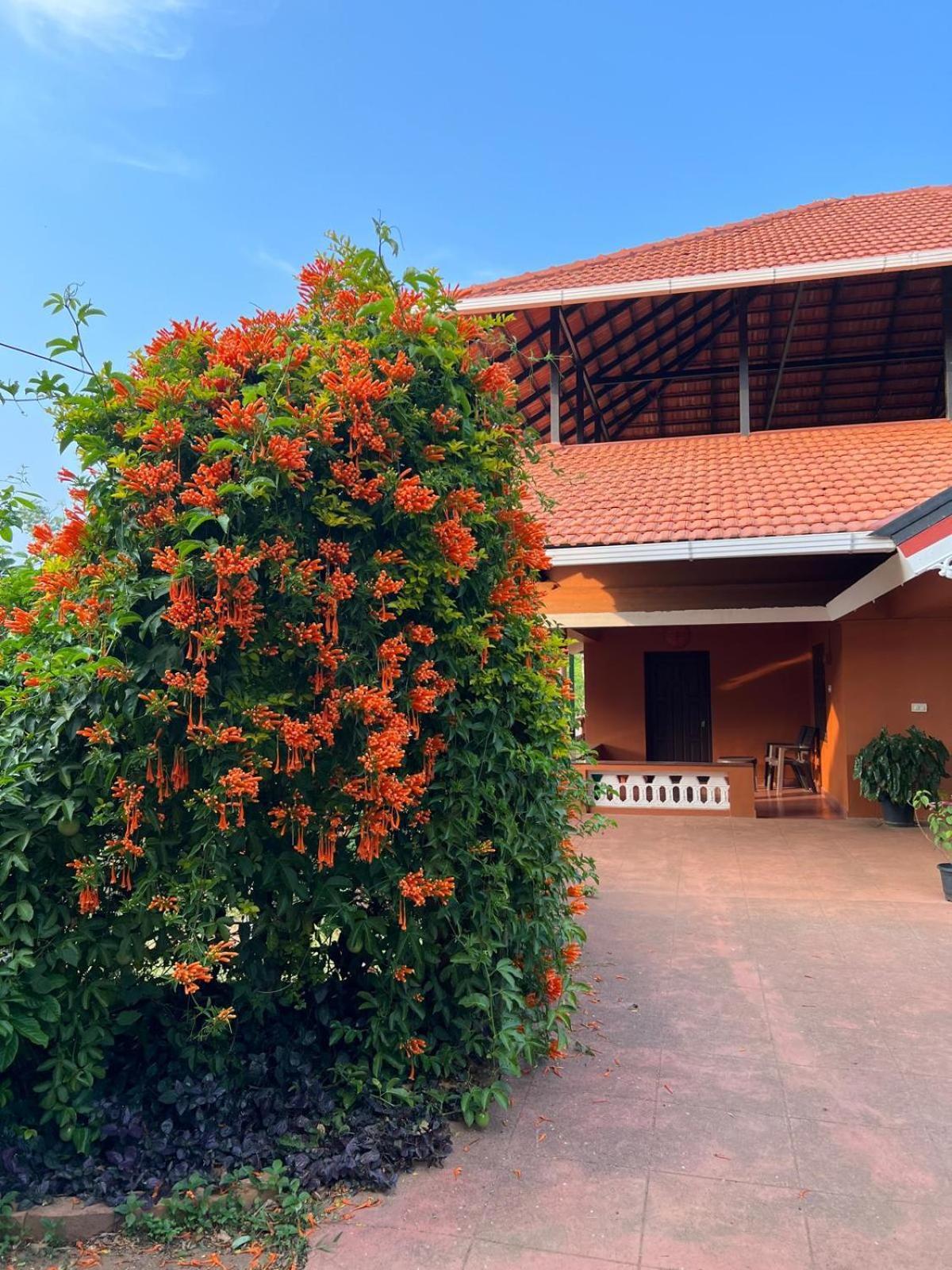 Janiro Tea Trees Villas Vythiri Extérieur photo